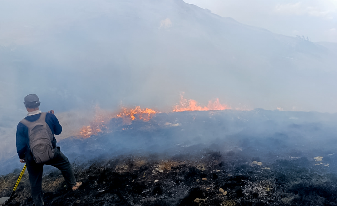 CAÍDA DE UN ÁRBOL SOBRE CABLES DE ALTA TENSIÓN ORIGINO GIGANTESCO INCENDIO FORESTAL EN ARGAMA - PACUCHA